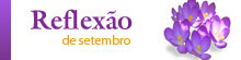 reflexão